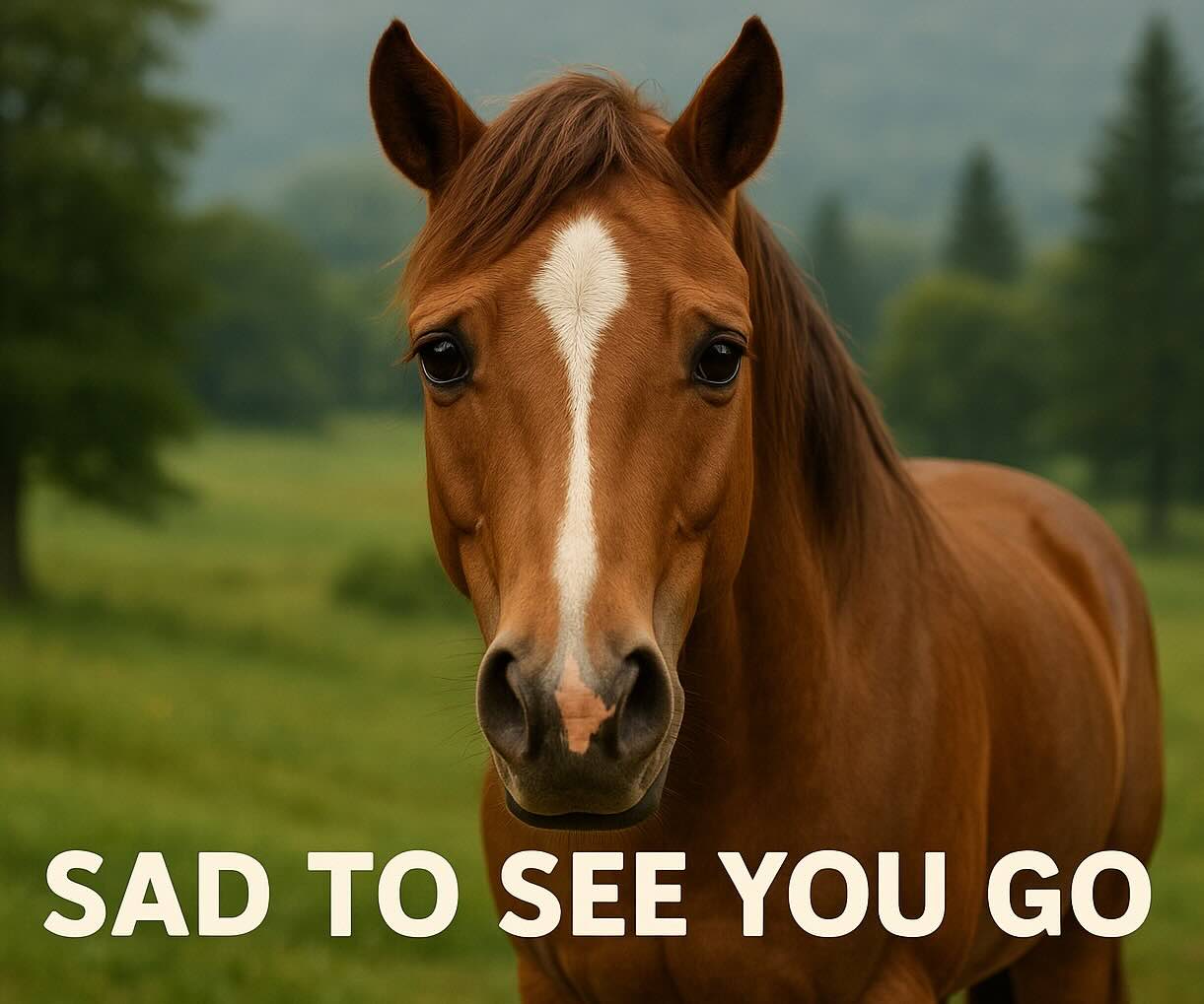 The Stallion - Sad to see you go!